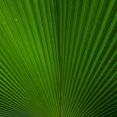 Smirking Flippersnapper