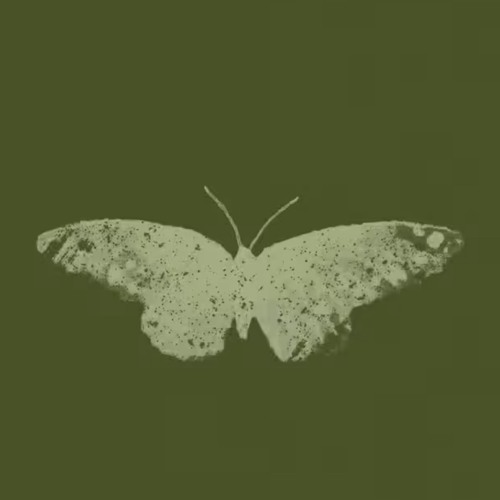 lovibe-a good man with a broken heart