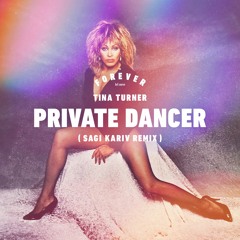 Tina Turner - Private Dancer (Sagi Kariv Remix)