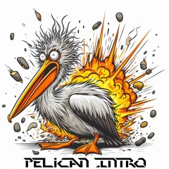 Pelican Intro