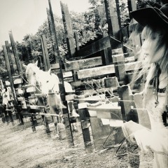 Double Helix Trip (prod. djcrymson555)