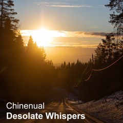 Desolate Whispers [naviarhaiku493]