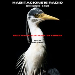 Habitacion615 RadioShow@TechnoRoomFm-Hugo Tasis-157-Curses-