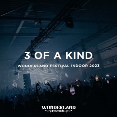 3 of A Kind @ Wonderland Festival Indoor 2023