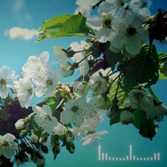 New life