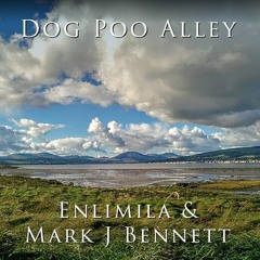 (Clutha Project) Dog Poo Alley