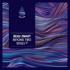 PREMIERE: Beau Zwart - Ixodus [Fluid Funk]