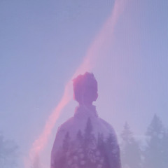 resting on a very big turtle shell