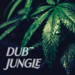Dub jungle dnb mix (420 2023) vol. 1