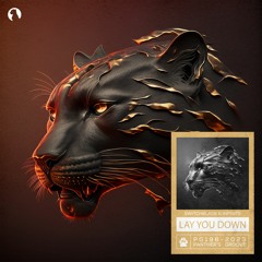 SwitchBlade & Infinite - Lay You Down (Extended Mix)