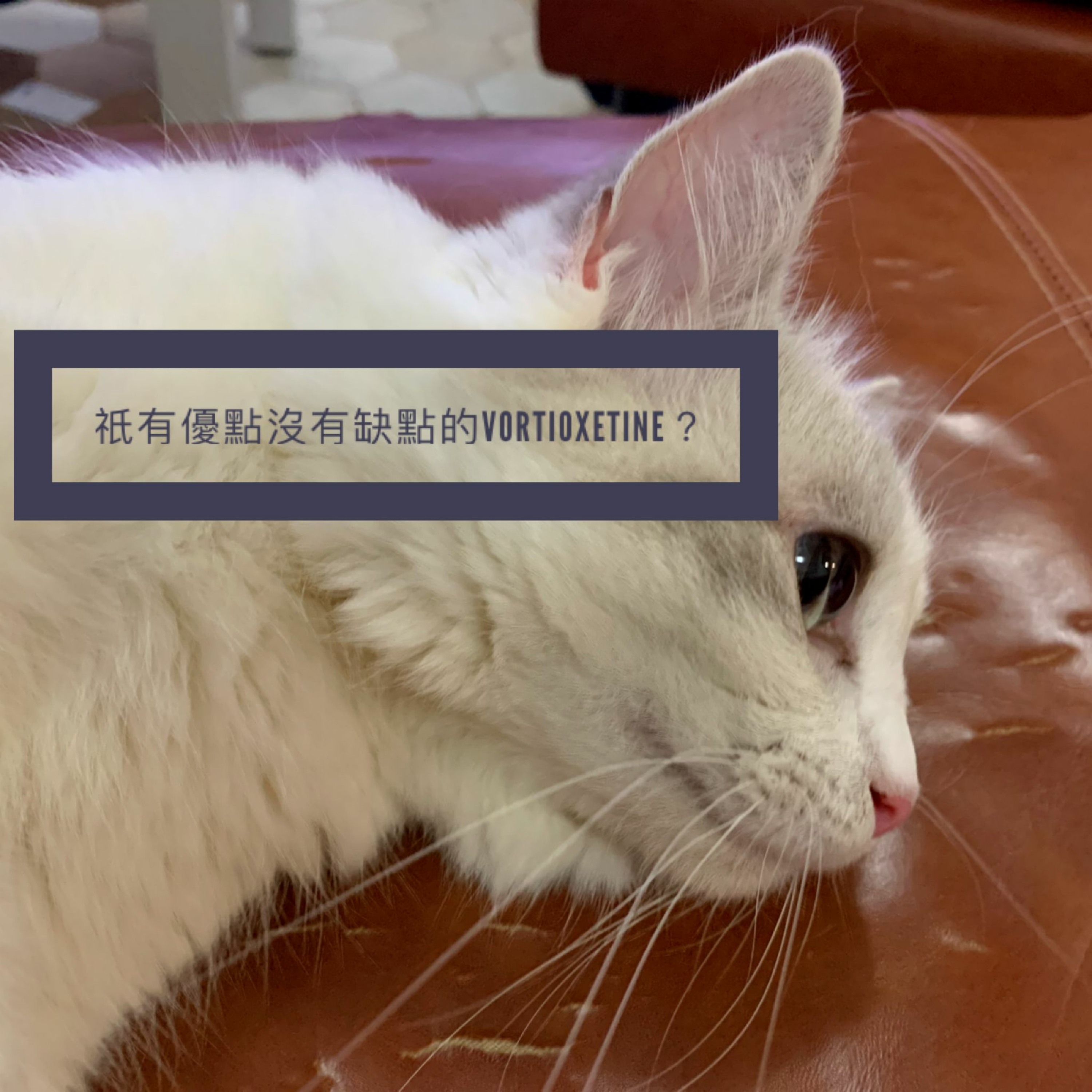 精神醫學三分鐘 —— 祇有優點沒有缺點的Vortioxetine?
