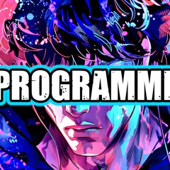 REPROGRAMMING 11