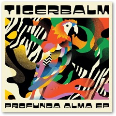 PREMIERE: Tigerbalm - Profunda Alma [Make-A-Dance Acid Remix]