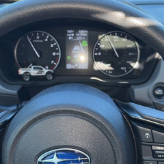 Raptor On The Dash
