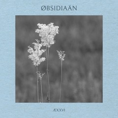 ÆXXVI - Øbsidiaän