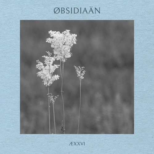 ÆXXVI - Øbsidiaän