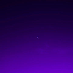 Alternative Yeat Type Beat - Trappin