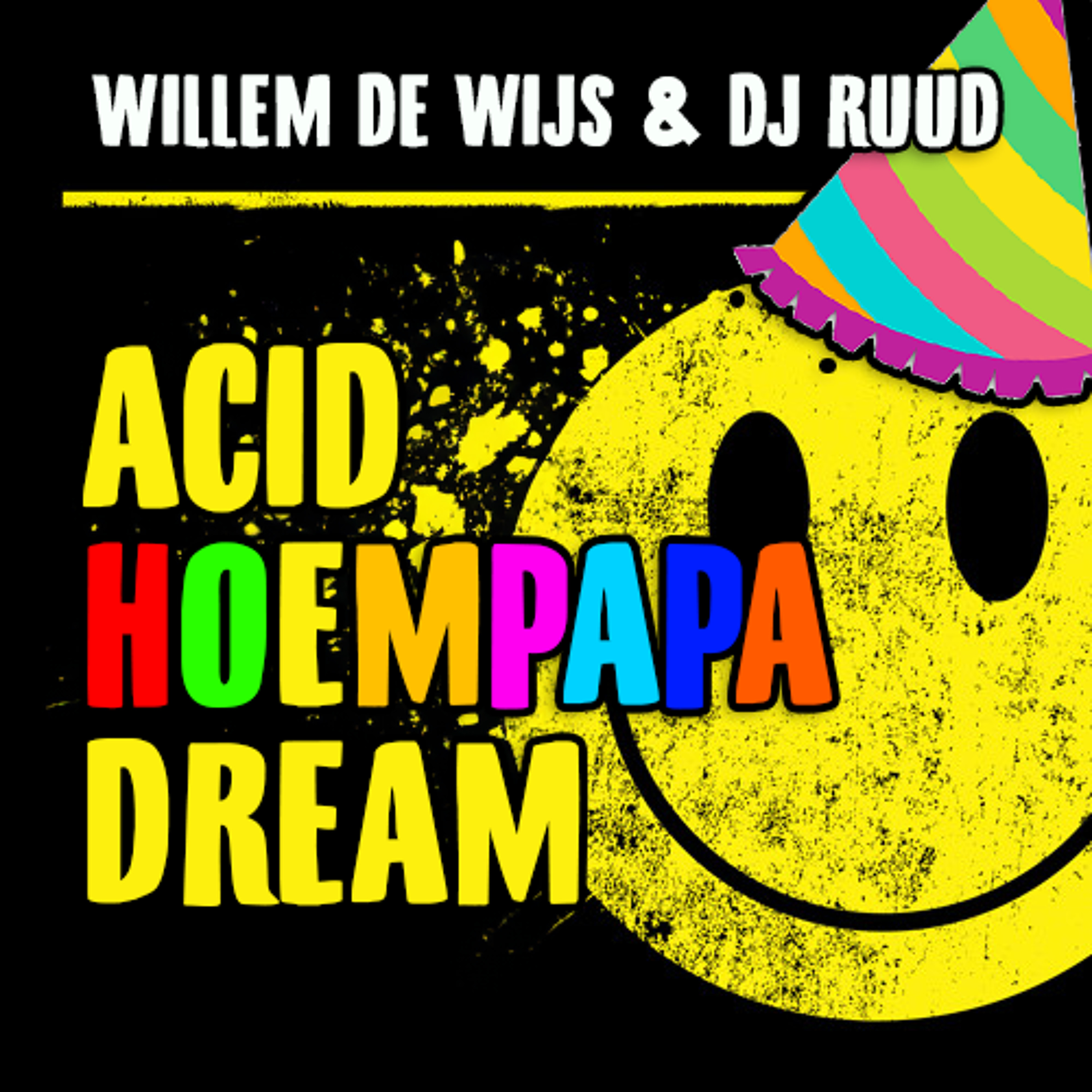 DJ Willem de Wijs