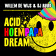 on Willem de Wijs &amp; Dj Ruud - Acid HOEMPAPA Dream