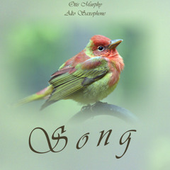 Mvt. 1. Song: Fire in the Earth, Maslanka Concerto for Alto Saxophone and Wind Ensemble