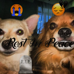 R.I.P (prod. by @fxckdreamcastt)