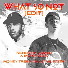 Kendrick Lamar x Mura Masa - Money Trees vs Lotus Eater (What So Not Edit)
