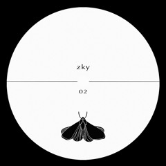 zky - 02A