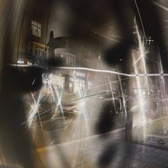 reveries of a broken body