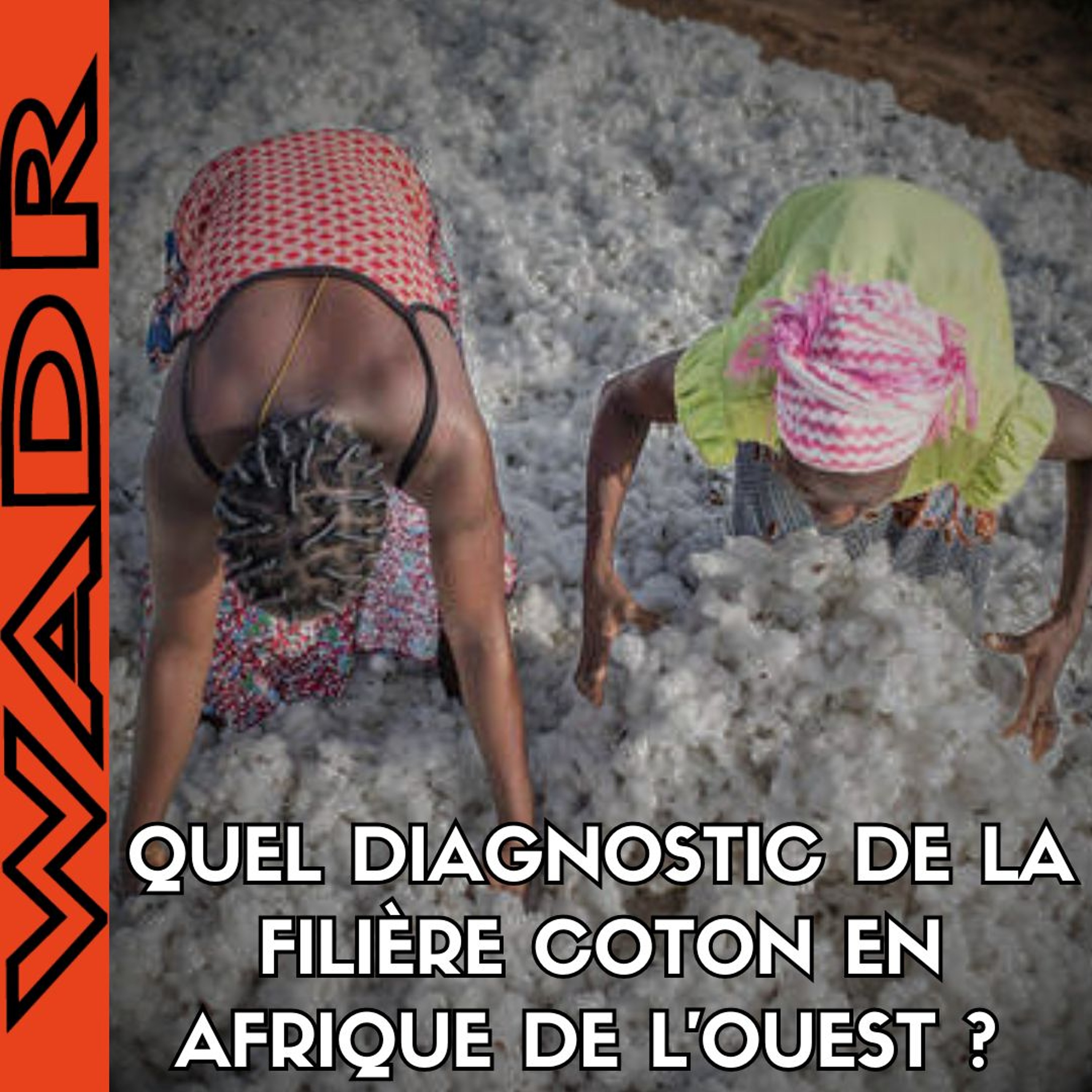 Quel diagnostic de la filière coton en Afrique de l’Ouest ? - PLANÉTERRE episode artwork