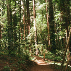 (directions for) PROTECTION