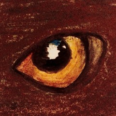 𝐀𝐟𝐠𝐡𝐚𝐧 𝐁 𝐄𝐱𝐭𝐞𝐧𝐝𝐞𝐝