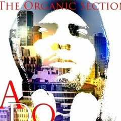 Judge me not feat. Sammy Sims