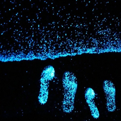 떠나자그냥어디로든떠나버리자 (Feat. 차진혁(HessClifF), 나로) (Prod. SCARY'P) (여사친2:something)