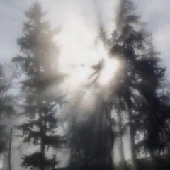 по вашим правилам @1nw