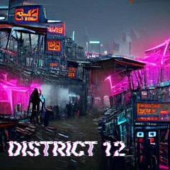 District12