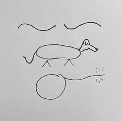 A dog, a god, a bomb