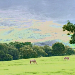 Dont Beat Yourself Up - MASTER