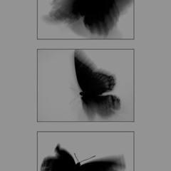 I don’t know (I’m still human)