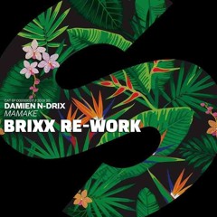 Damien N - Drix - Mamake (Brixx  Remix)