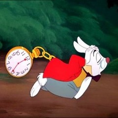 DOWN THE RABBIT HOLE