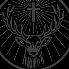 Jaggerwomb (flip clip)