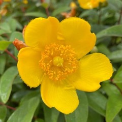 Waiting For The Light