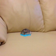 Beowulf - Savior Slowed