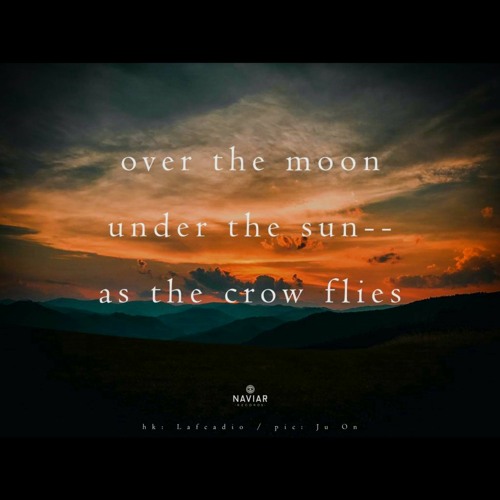 Crow flies forever [naviarhaiku429]