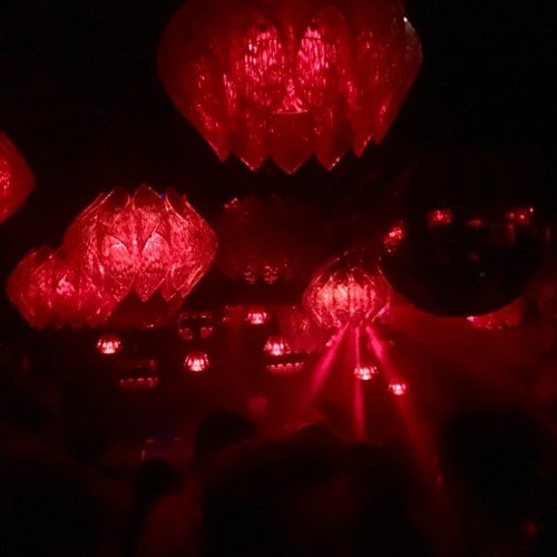 Verkauzt (senza fine)  -  live at Kauz