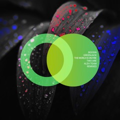 The World Is on Fire (Aleh Team Remix)