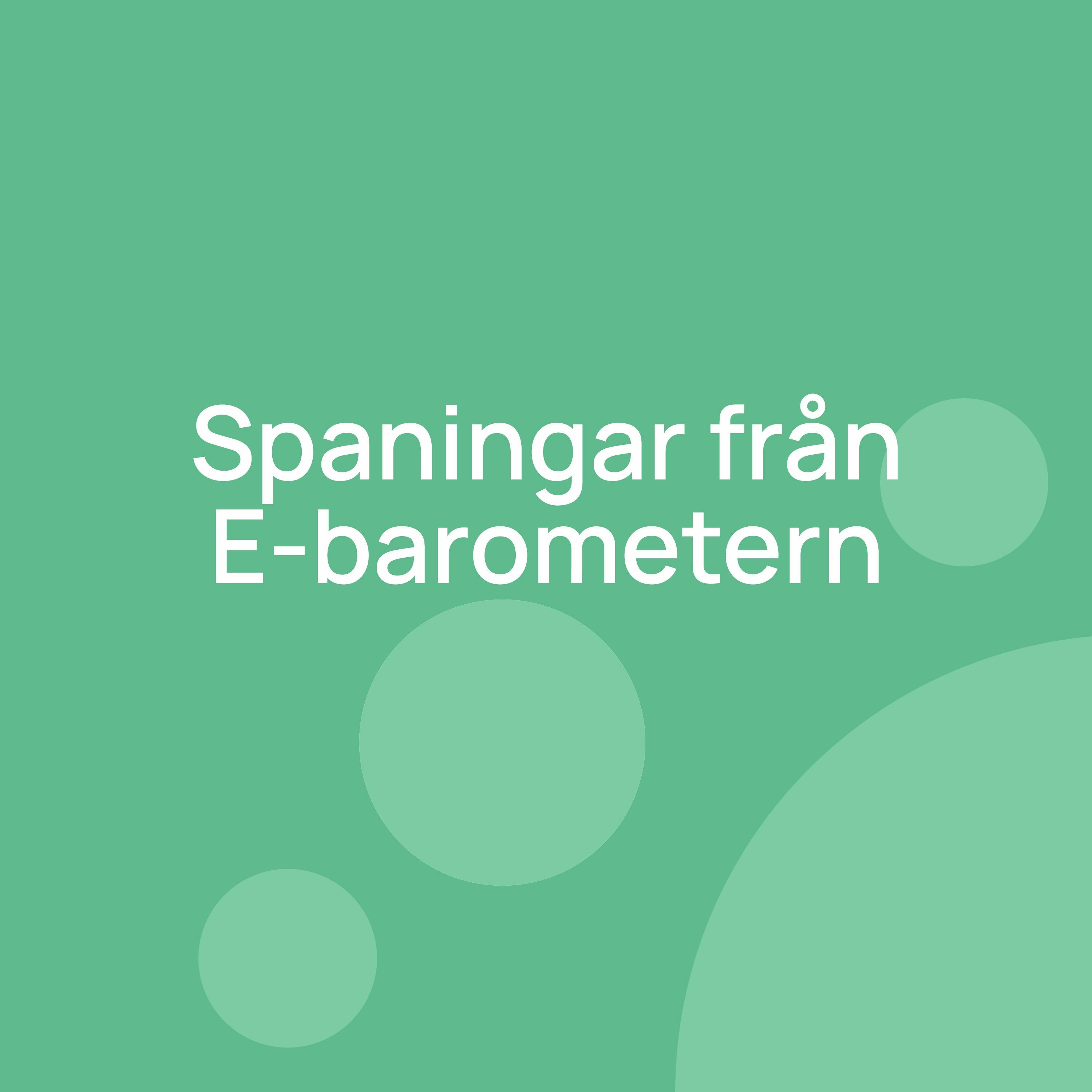 Omniarch Podcast om E-handel