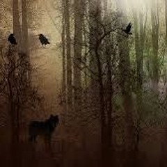 wolf and raven