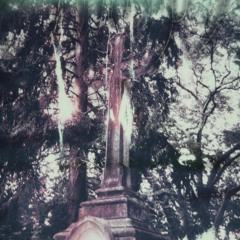 fragile aches descend faintly (demo)