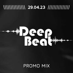 PROMO MIX - Deep Beat II